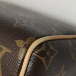 Louis Vuitton Speedy 20 Monogram — фото 16