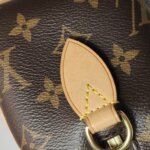 Louis Vuitton Speedy 20 Monogram — фото 22