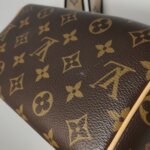 Louis Vuitton Speedy 20 Monogram — фото 26