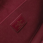 Louis Vuitton Pochette Félicie Monogram… — фото 11