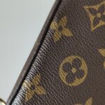 Louis Vuitton Pochette Félicie Monogram… — фото 15
