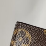 Louis Vuitton Pochette Félicie Monogram… — фото 20
