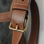 Celine Triomphe Canvas (Селин) — фото 11