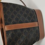 Celine Triomphe Canvas — фото 14