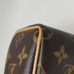 Louis Vuitton Speedy Nano Monogram — фото 15