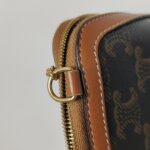Celine Triomphe Canvas — фото 12