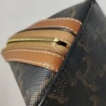 Celine Triomphe Canvas (Селин) — фото 14