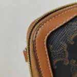 Celine Triomphe Canvas (Селин) — фото 15