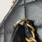 Chanel Flap Bag (Шанель) — фото 16