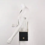 Chanel Flap Bag (Шанель) — фото 2