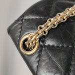 Chanel 2.55 Flag Bag — фото 12