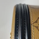 Louis Vuitton Cannes Reverse (Луи Виттон) — фото 18