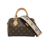 Louis Vuitton Speedy 20 Monogram — миниатюра 1