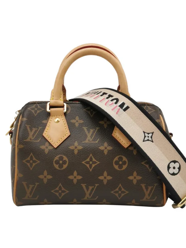 Louis Vuitton Speedy 20 Monogram