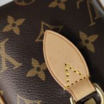 Louis Vuitton Speedy 20 Monogram — фото 17