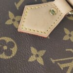 Louis Vuitton Speedy 20 Monogram — фото 21