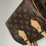 Louis Vuitton Speedy 20 Monogram — фото 24