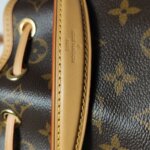 Louis Vuitton NOE Nano Monogram — фото 19