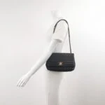 Chanel Flap Bag (Шанель) — фото 2