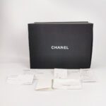 Chanel 19 Bag — фото 9