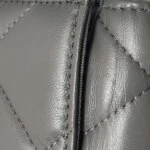 Chanel 19 Bag (Шанель) — фото 18