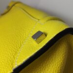 Celine Luggage — фото 12