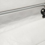 Chanel 2.55 Flag Bag — фото 22