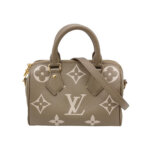 Louis Vuitton Speedy 20 Gaint Monogram — миниатюра 1