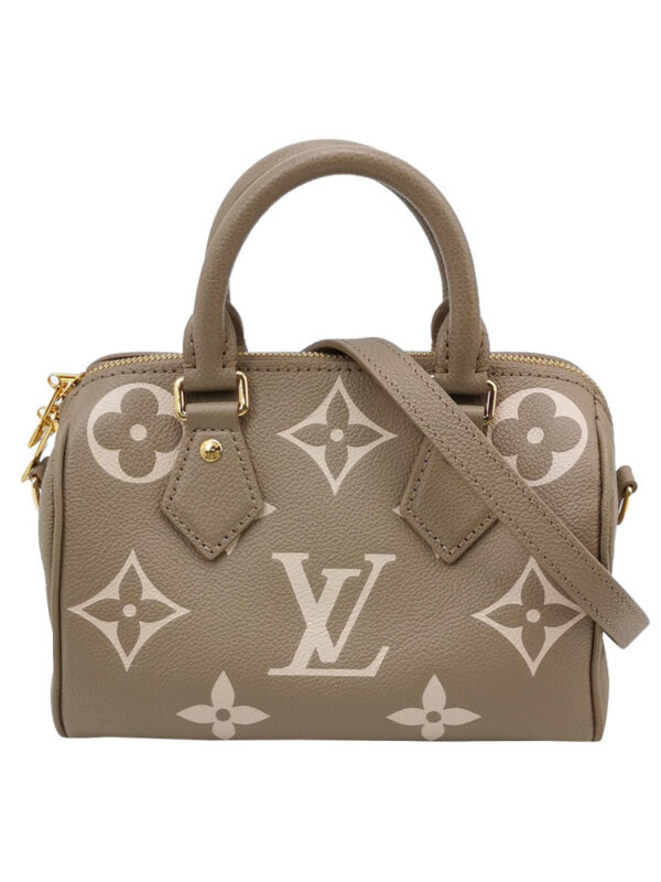 Louis Vuitton Speedy 20 Gaint Monogram