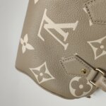 Louis Vuitton Speedy 20 Gaint Monogram — фото 16