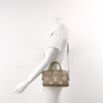Louis Vuitton Speedy 20 Gaint Monogram — фото 2