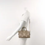 Louis Vuitton Speedy 20 Gaint Monogram (Луи Виттон) — фото 2