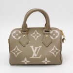 Louis Vuitton Speedy 20 Gaint Monogram — фото 5