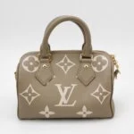 Louis Vuitton Speedy 20 Gaint Monogram (Луи Виттон) — фото 5