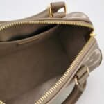 Louis Vuitton Speedy 20 Gaint Monogram — фото 7