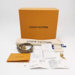 Louis Vuitton Speedy 20 Gaint Monogram — фото 9