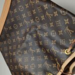 Louis Vuitton NOE Monogram — фото 23