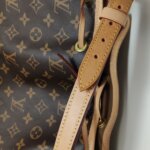 Louis Vuitton NOE Monogram — фото 24