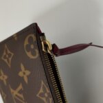 Louis Vuitton Pochette Félicie Monogram — фото 15