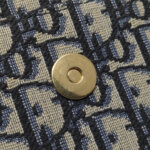 Dior Saddle Oblique — фото 12