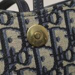 Dior Saddle Oblique — фото 13