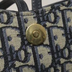 Dior Saddle Oblique (Диор) — фото 13