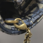 Dior Saddle Oblique — фото 15