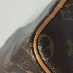 Louis Vuitton Speedy Nano Monogram (Луи Виттон) — фото 18