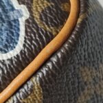 Louis Vuitton Speedy Nano — фото 16