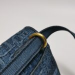 Dior Saddle — фото 13