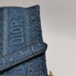 Dior Saddle — фото 15