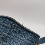 Dior Saddle — фото 19