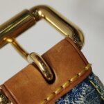 Louis Vuitton Belt Bag — фото 21