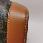 Celine Triomphe Canvas logo (Селин) — фото 18